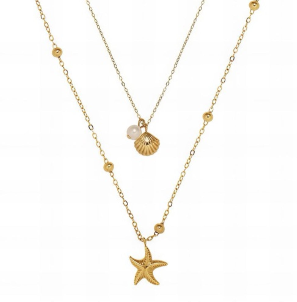 Cadena de estrella/concha