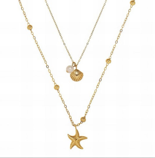 Cadena de estrella/concha
